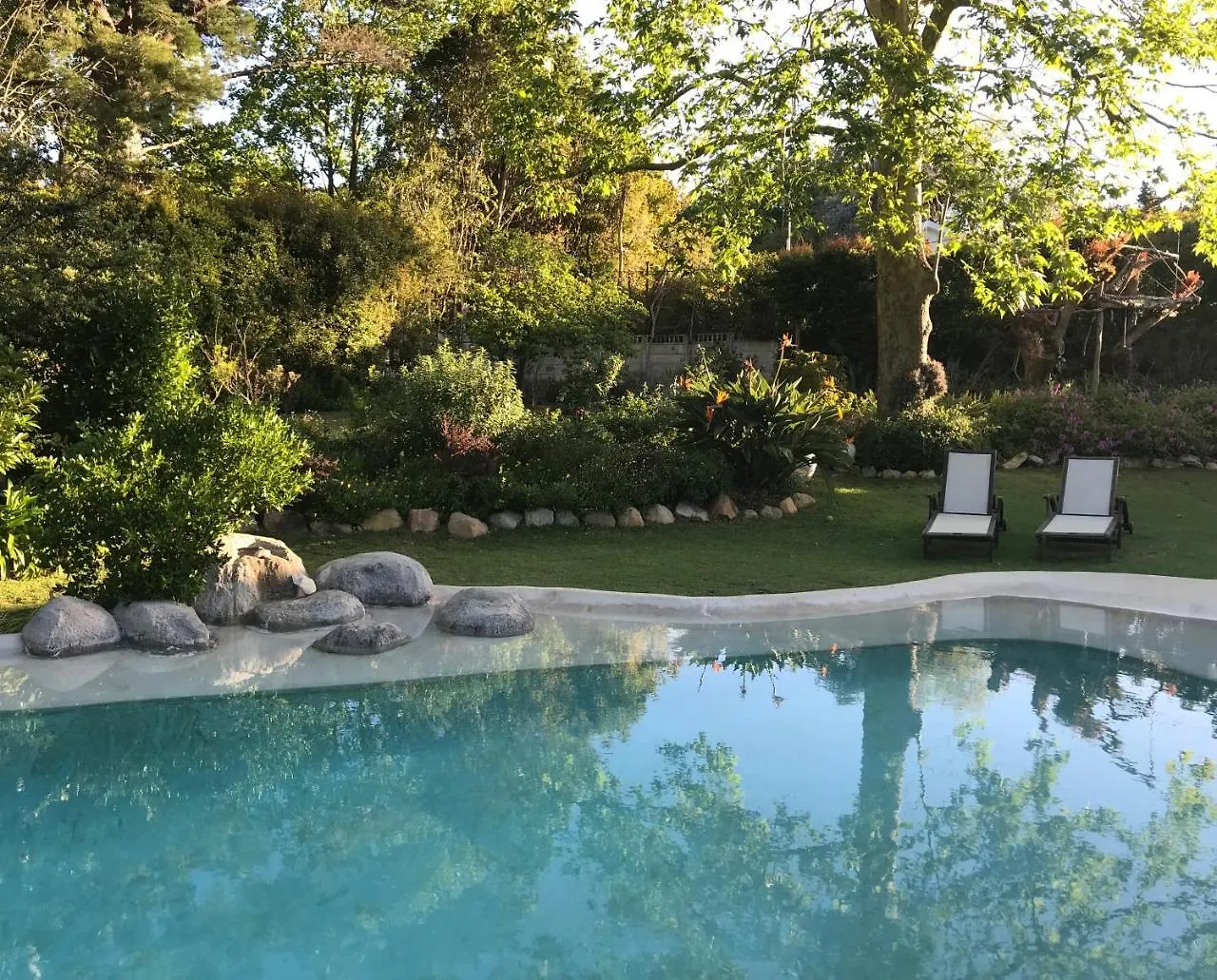 Beluga Of Constantia Guest House Cape Town Güney Afrika