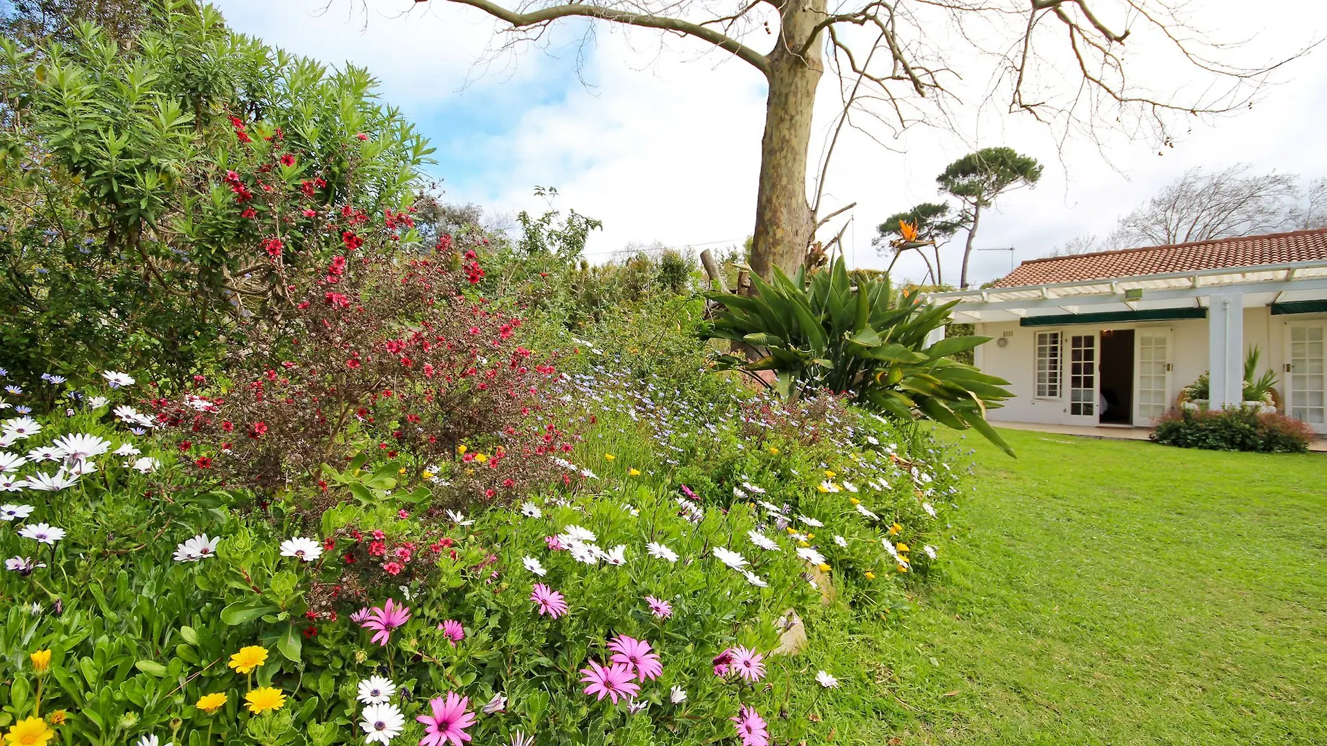 Beluga Of Constantia Guest House Cape Town