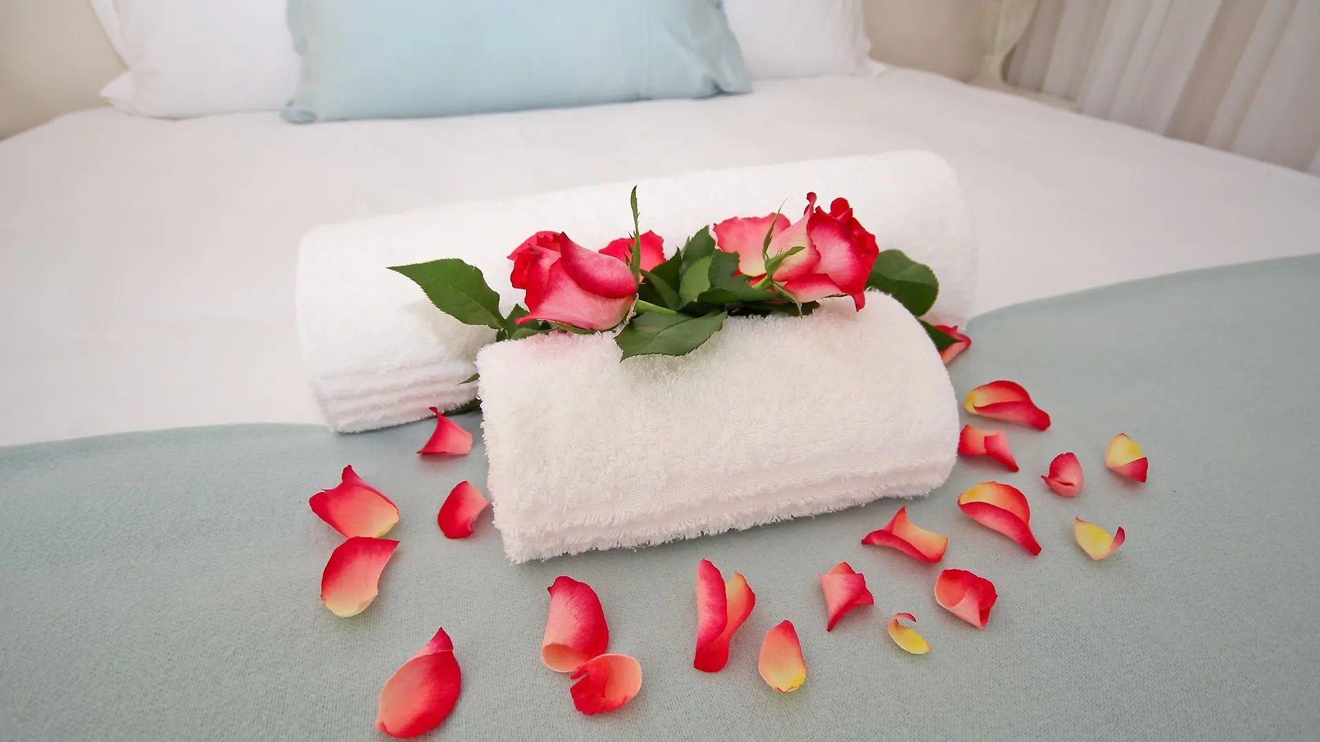 Beluga Of Constantia Guest House Cape Town